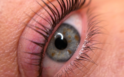 korean lash lift haarlem